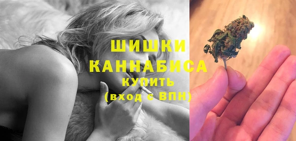 прущий лед Заводоуковск