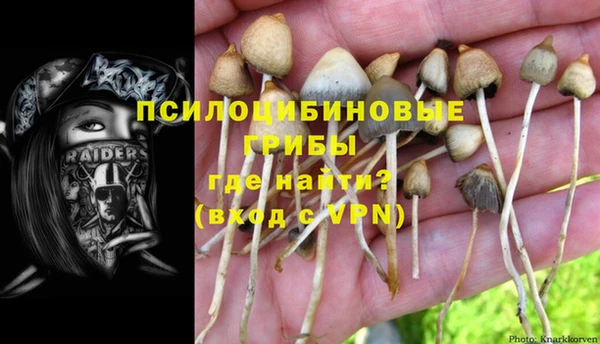 прущий лед Заводоуковск